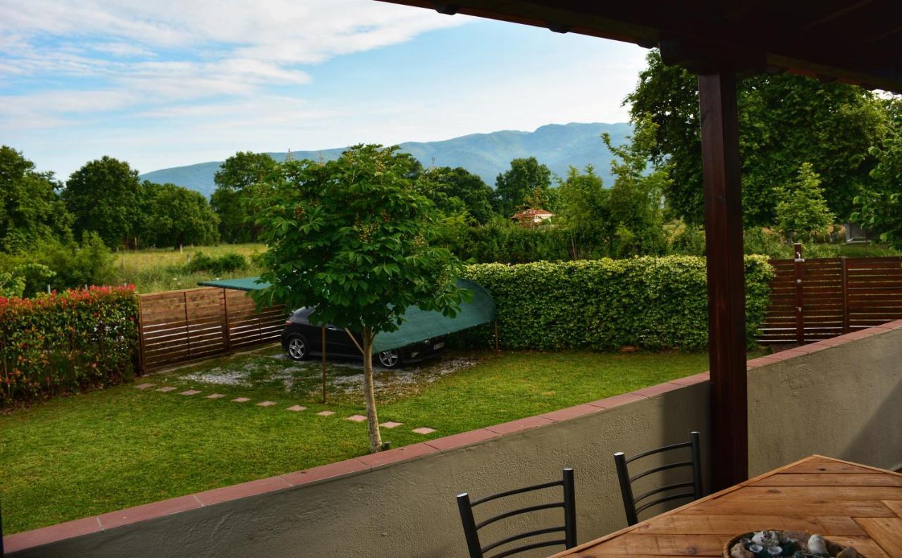 Villa Relax House S Leptokarya  Exterior foto